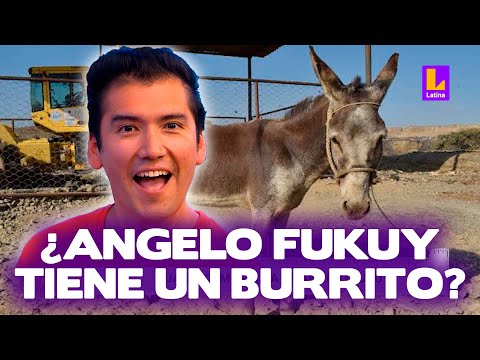 Angelo Fukuy revela tener un burrito de mascota en Sábados en Familia