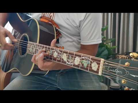 ทดลองเล่นGibson​J​-​45Vin