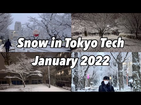 SnowinTokyoTech(January20