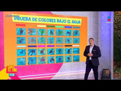 ¿Cómo salvar la vida de tus hijos en la ALBERCA con el COLOR de su traje de baño?