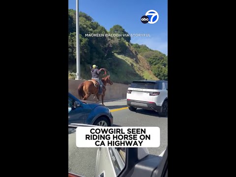 Cowgirl seen riding horse on CA highway