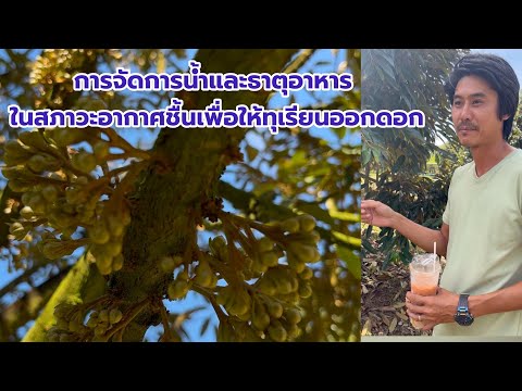 การจัดการน้ำและธาตุอาหารในสภาว