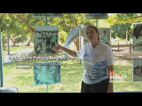 Aquasis ofrece un curso sobre primeros auxilios para criaturas marinas a los residentes de Fortaleza
