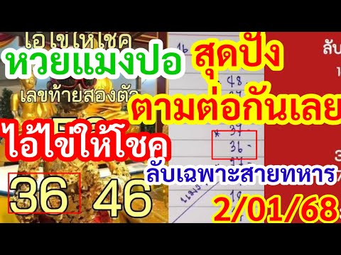 สุดปัง63,ตามต่อกันเลย,ไอ้ไข่ให