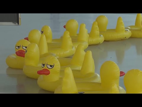 Toy ducks and signs welcoming expected return of hostages at hospital in central Israel