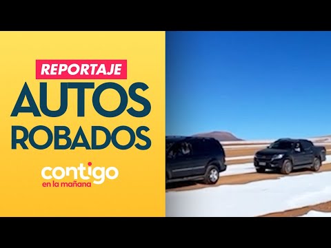 REPORTAJE | Así recuperan autos chilenos robados que terminan en Bolivia  - Contigo en la Mañana