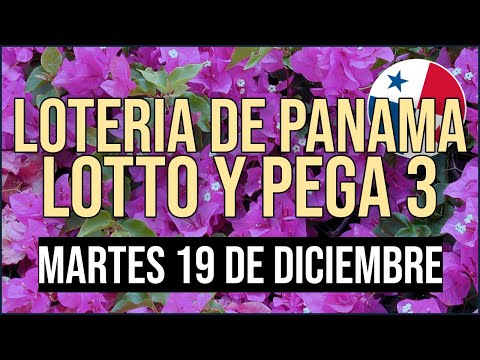 Lotto, Pega 3 - Martes 19 de diciembre 2023 Resultados Lotería de Panamá