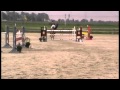 Show jumping horse Uniek lief en ervaren leerpaard te koop!