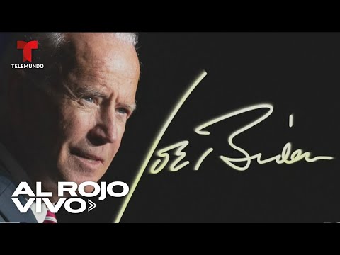 Experto traza un perfil de Joe Biden y Kamala Harris | Al Rojo Vivo | Telemundo