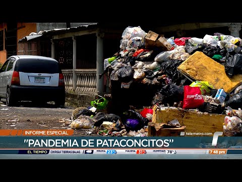 Entrega especial: San Miguelito, pandemia de pataconcitos