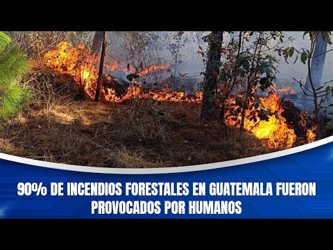 90% de incendios forestales en Guatemala fueron provocados por humanos
