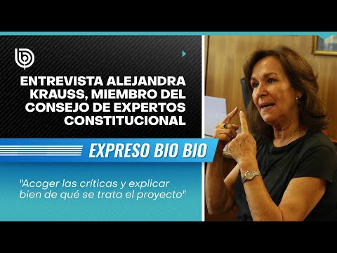 Entrevista Alejandra Krauss, miembro del consejo de expertos constitucional