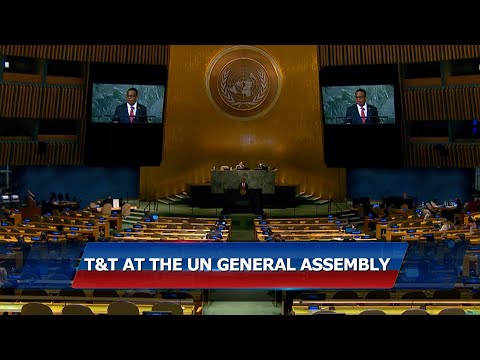 Dr. Amery Browne At The UN General Assembly in New York