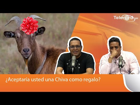 ¿Aceptaría usted una Chiva como regalo?