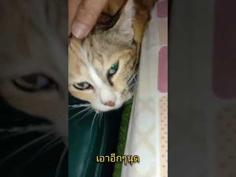 นุดลูบหน่อยๆ นุดลูบหน่อยๆ