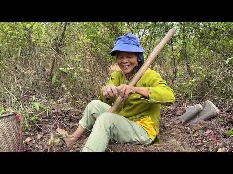 ขุดมันแซงได้หลายตะกร้าเลยครับพ