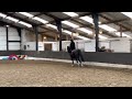 Recreatie pony	 Te koop - 7-jarige Welsh pony merrie