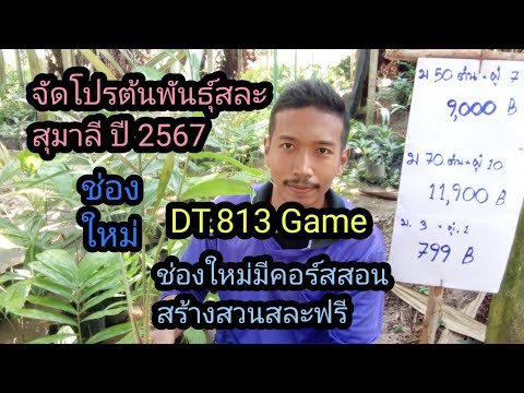 จัดโปรต้นสละสุมาลีสำหรับท่านที