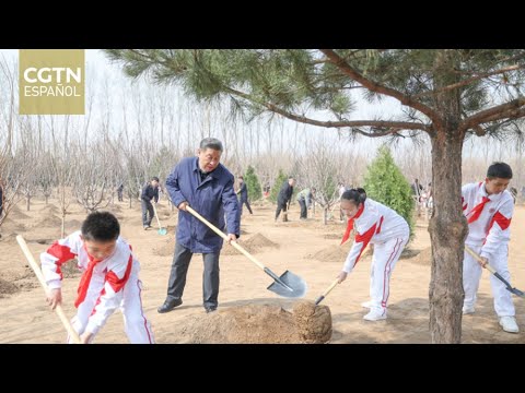 Xi planta árboles en Beijing y pide esfuerzos de forestación para construir una China hermosa