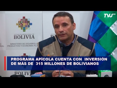 Programa apícola cuenta con una inversión de más de  315 millones de bolivianos