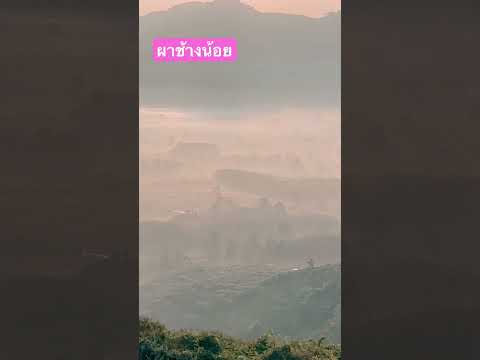 ผาช้างน้อยจ.พะเยาเช้านี้พะเ