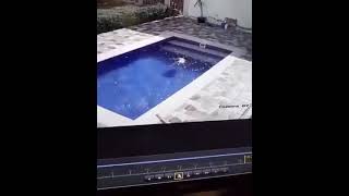 العناية الالهية تتدخل