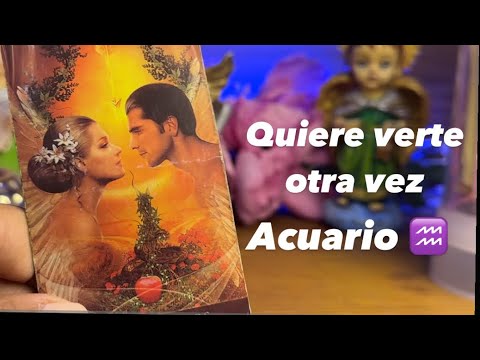 ACUARIO | QUIERE VERTE OTRA VEZ- NO TE OLVIDA UNA EXCELENTE NOTICIA TE LLEGA MAÑANA MÁS TARDAR