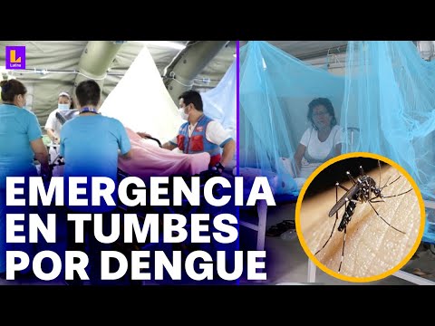 Solo hay dos camillas disponibles: 9 mil contagiados y siete muertos por dengue en Tumbes