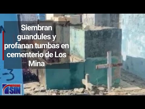 Siembran guandules y profanan tumbas en cementerio de Los Mina