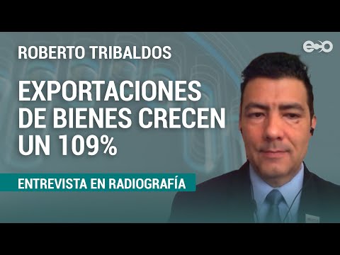 Exportaciones de bienes crecen un 109% | RadioGrafía