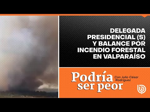 Delegada presidencial (s) realiza balance por incendio forestal en Valparaíso
