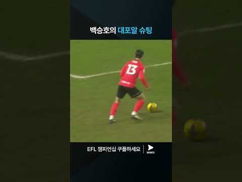 EFL 챔피언십ㅣ셰필드 웬즈데이 vs 버밍엄ㅣ날카로운 중거리 슛을 보여주는 백승호 