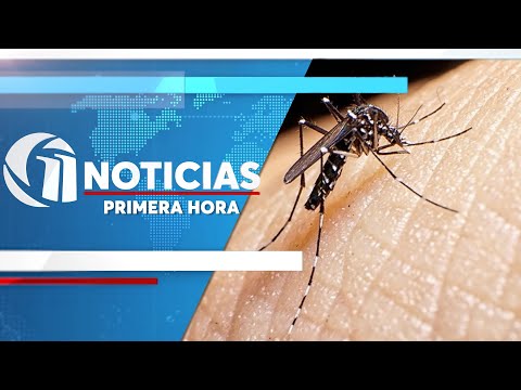 En emergencia San Pedro Sula por incremento de degue (30-1-24)