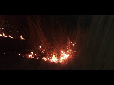 Incendio forestal se registró en Chinautla