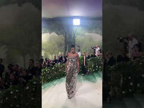 Venus Williams dazzles in silver Met Gala dress