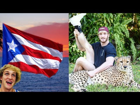 Logan Paul anuncia que se MUDARÁ a Puerto Rico ?? | Se Repite la Historia de El Rubius