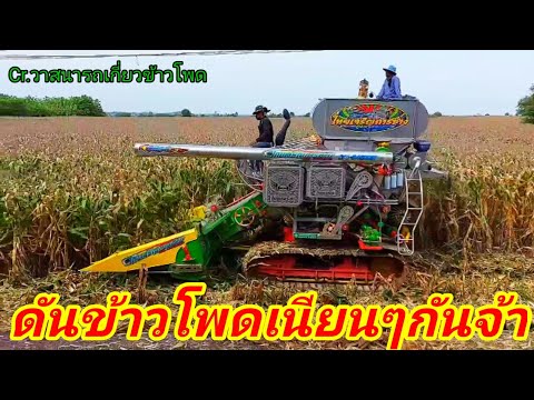 รถเกี่ยวข้าวโพด-ไทยเจริญการช่า รถเกี่ยวข้าวโพด-ไทยเจริญการช่า