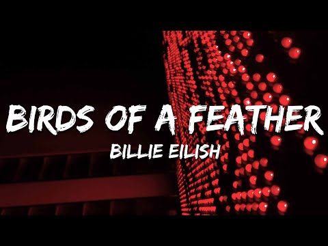 Billie Eilish - BIRDS OF A FEATHER (Lyrics)