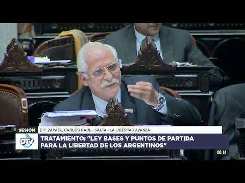 Diputado Zapata, Carlos Raúl - Sesión 29-04-2024