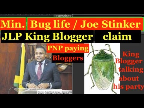 Misinformation Min. Bug Life/Joe Stinker JLP King Bloger, claim PNP paid bloggers to tell lies on PM