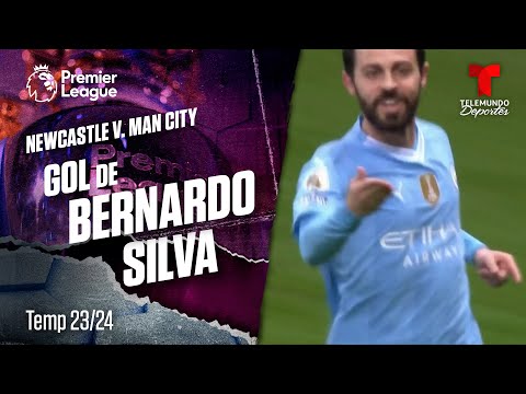 Goal Bernardo Silva - Newcastle United v. Manchester City 23-24 | Premier League