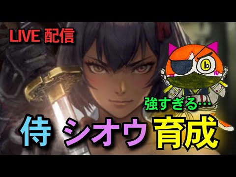【ウィザードリィ ダフネ】#64 侍シオウ育成中～グアルダ城塞～砂漠の洞窟～雑談Live配信【WIZダフネ】