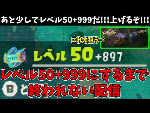 この配信でレベル50+999にします！！！ついでに絶品ハイオク4Kも本気で狙う！！！【スプラトゥーン レイダース】