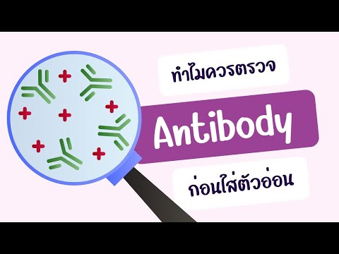 ทำไมควรตรวจAntibodyก่อนใส่ตั