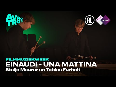 Einaudi: Una Mattina (The Intouchables) - Steije Maurer & Tobias Furholt - HD