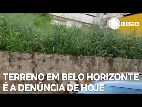 Record News contra a dengue: denúncia de hoje vem de Belo Horizonte