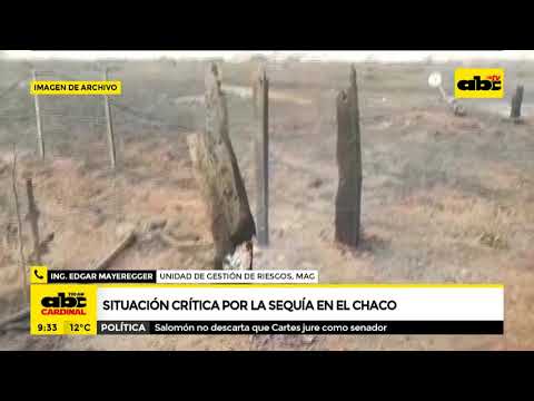 Situación crítica en el Chaco por sequías