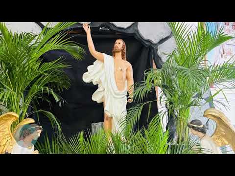 Santa Misa desde la Parroquia del Divino Niño, 5:00 pm viernes 26 de abril 2024 IV Semana de Pascua