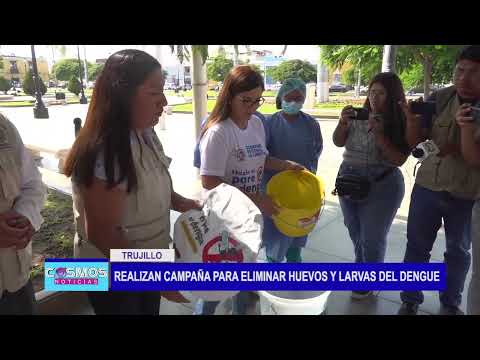 Trujillo: Realizan campaña para eliminar huevos y larvas del dengue