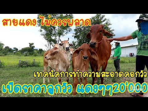 เริ่มต้น20000-เทคนิคทำความสะอา เริ่มต้น20000-เทคนิคทำความสะอา